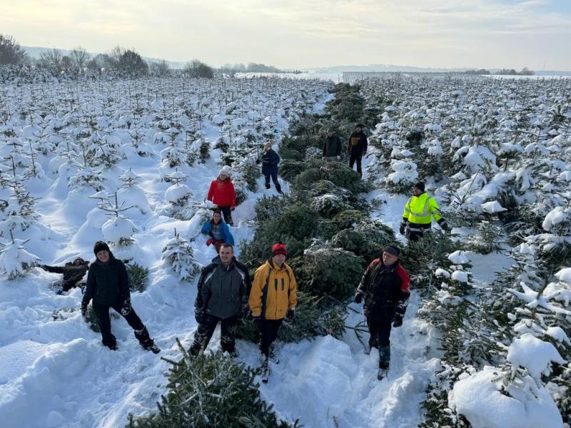 News - Christmas tree from Koblov for each employee